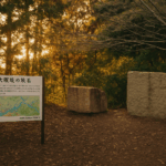 大阪城残念石