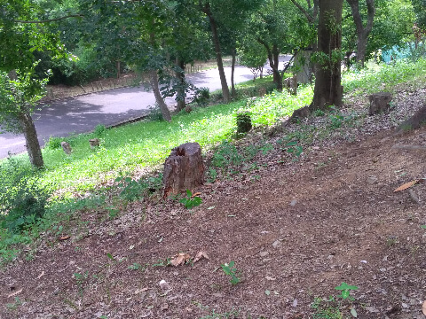「奈良の公園にチンギスハン！？意外すぎる像の正体と考察」