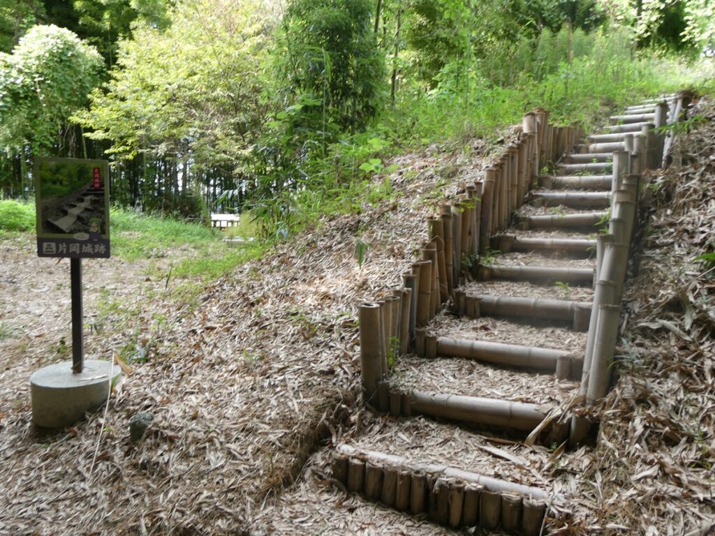 「疾風の片岡家、乱世を駆ける