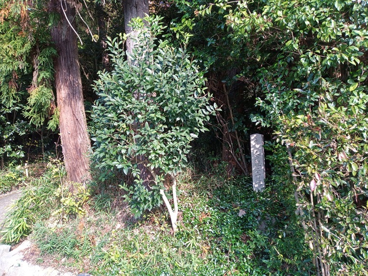 盲目の聖人～人康親王の山荘跡～