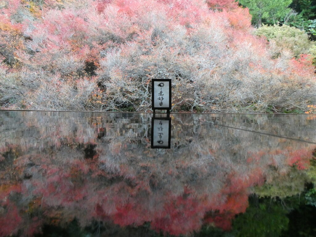 ”映え”で有名な但馬安国寺