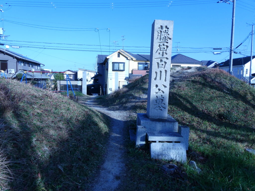 日本史上屈指のフィクサー　　　藤原百川