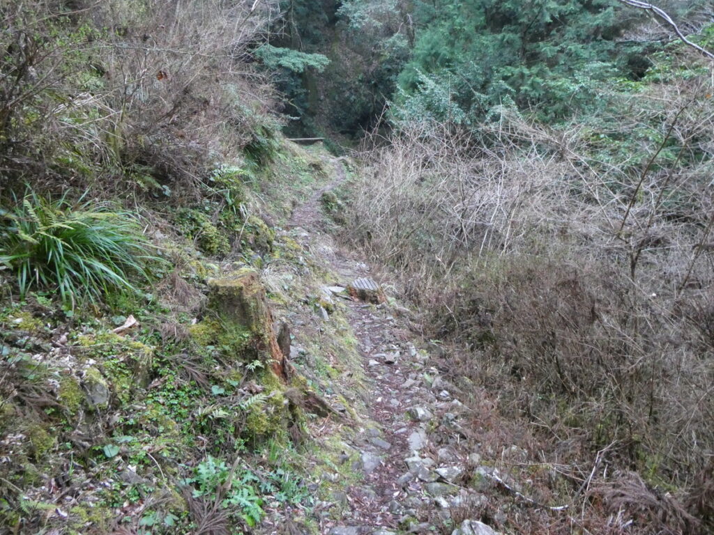 ショボい滝のはずだった