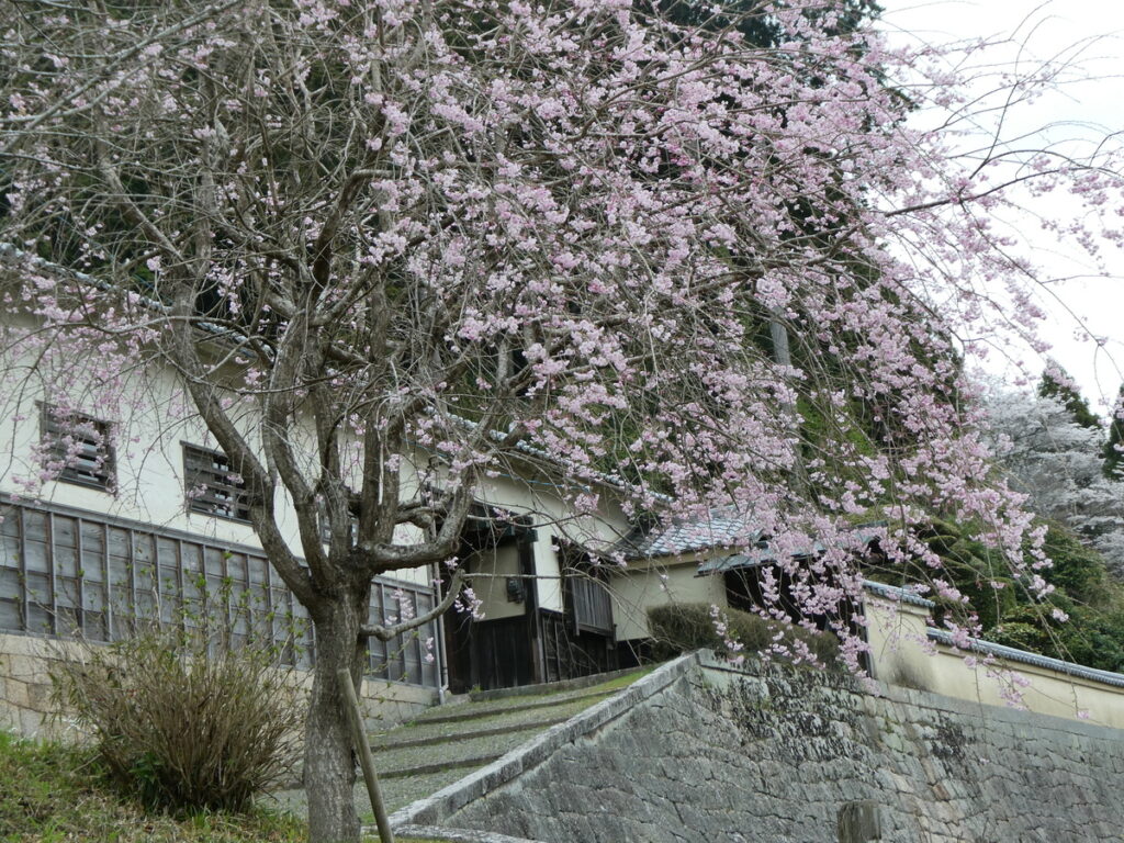 柳生家老屋敷 ― 柳生藩を支えた家老・小山田主鈴の隠居所