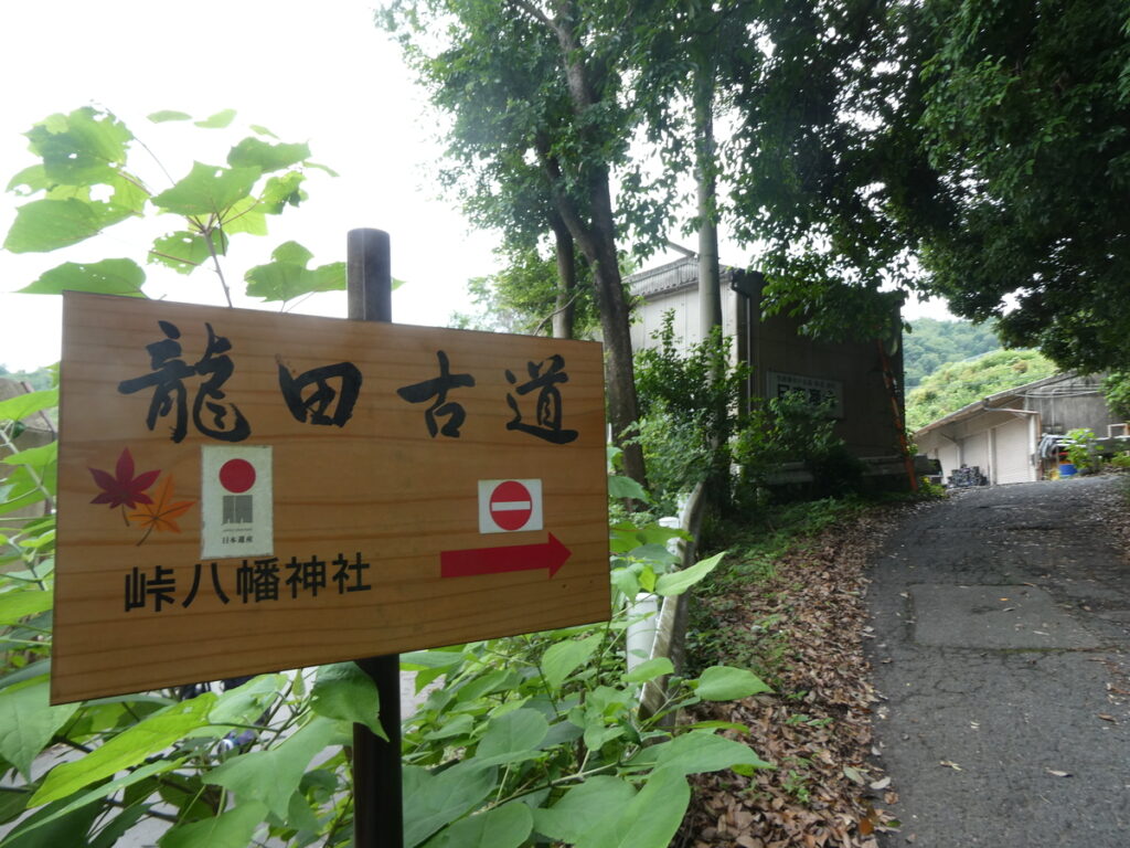 古代の官道から令和の川下りへ――龍田古道と亀の瀬を歩く