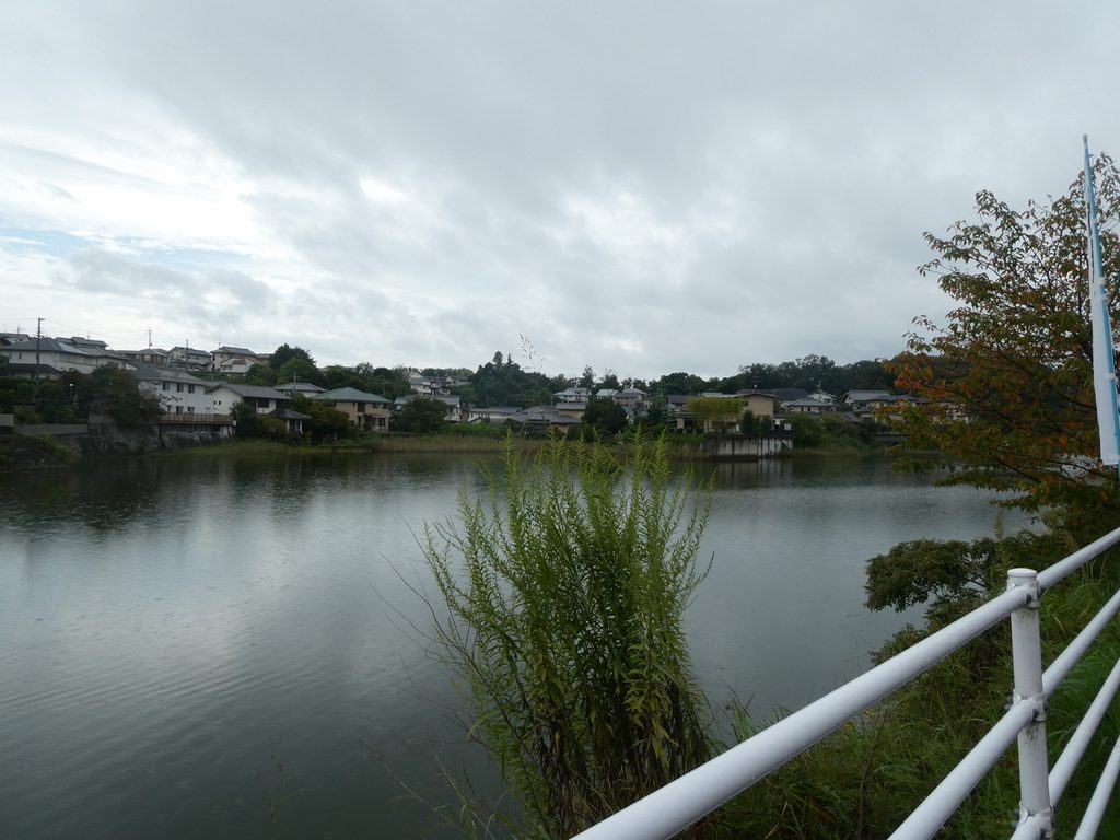 日本最古かもしれない池と、消えた洞窟　蛙股池とあやめ池神社を歩く